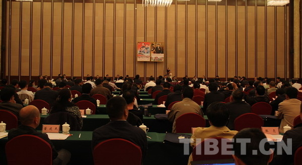 中国保监会在拉萨召开保险业支持西藏经济社会发展座谈会