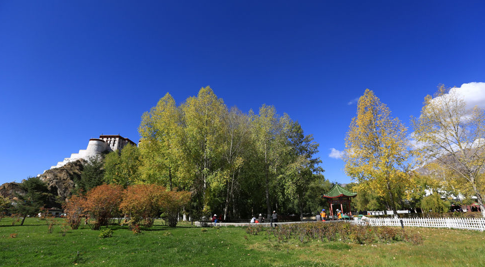 QQ截图20151012113008.png