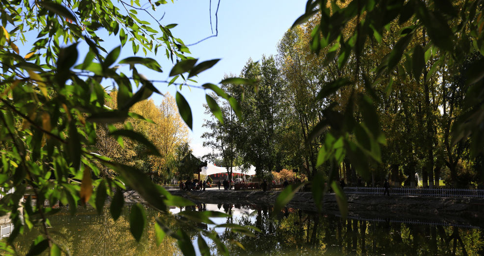 QQ截图20151012113100.png