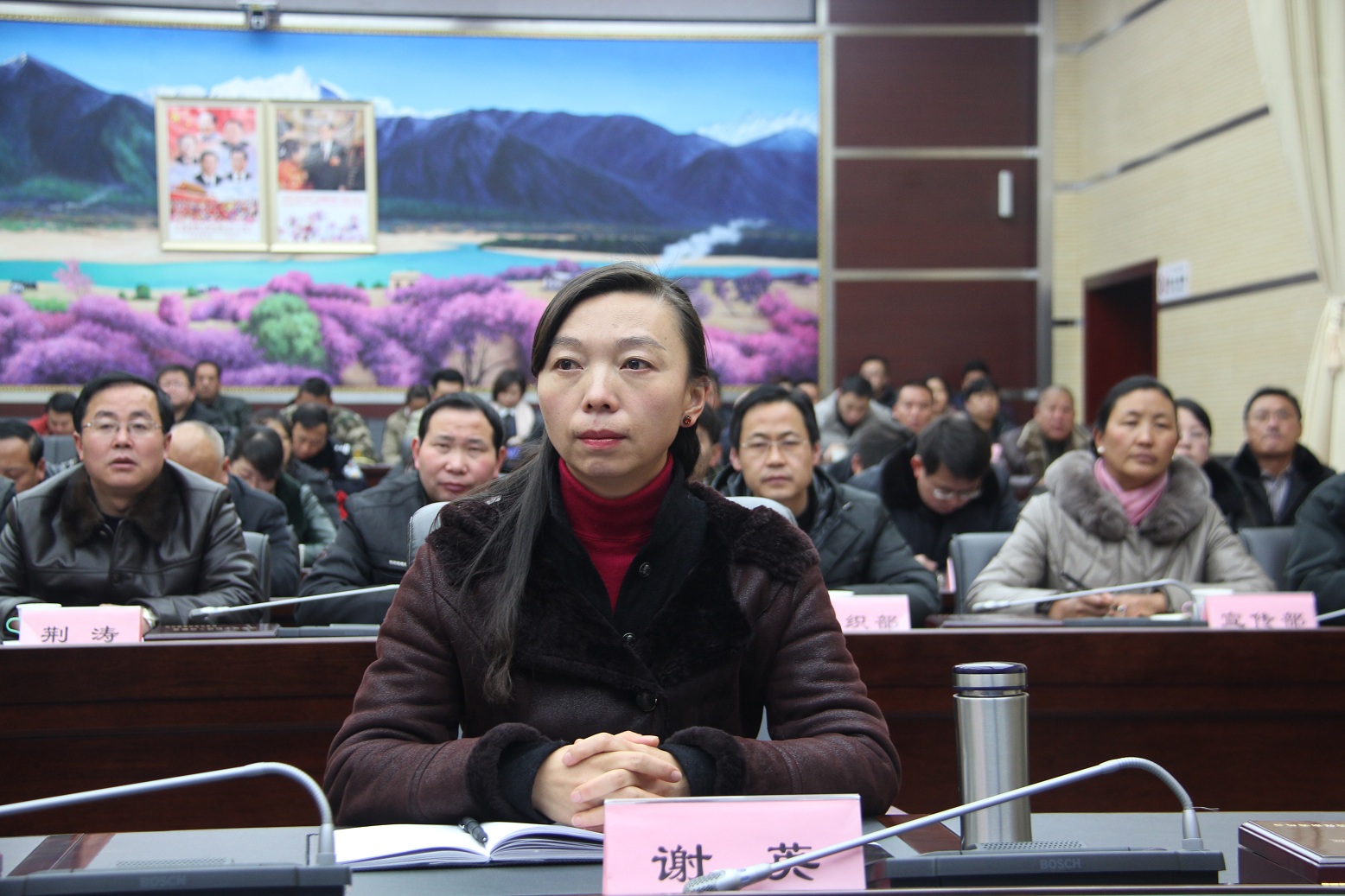 图为市委常委、宣传部长谢英出席我市组织收听收看的区党委意识形态工作责任制电视电话会议 (1).JPG